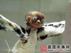 ���������ι���